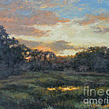 Morning on the Marsh - Wellfleet