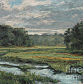 August Evening - Wellfleet