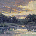 Morning on the Marsh / Wellfleet