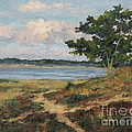 Path to the Harbor